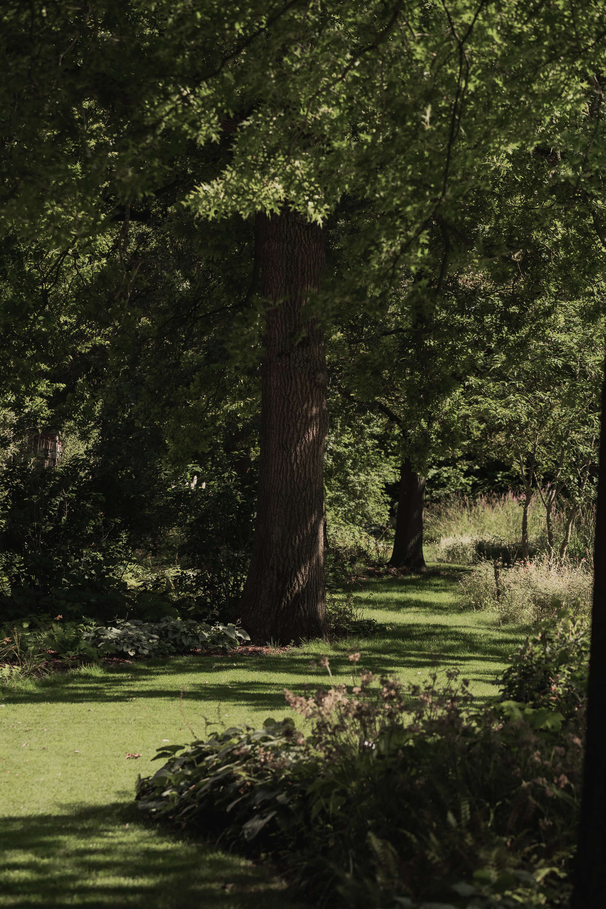 Nieuwe Parktuin MS