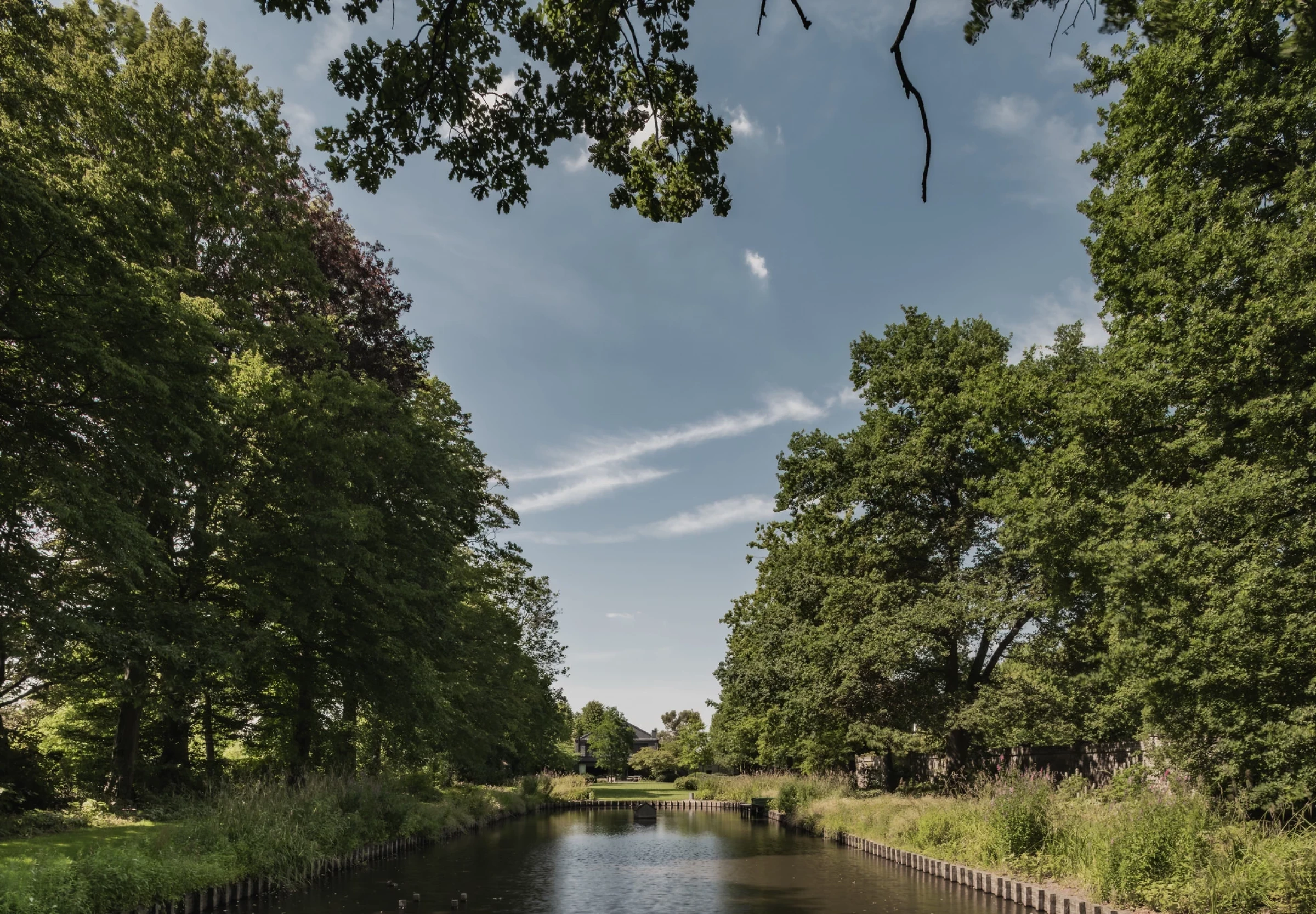 Nieuwe Parktuin MS