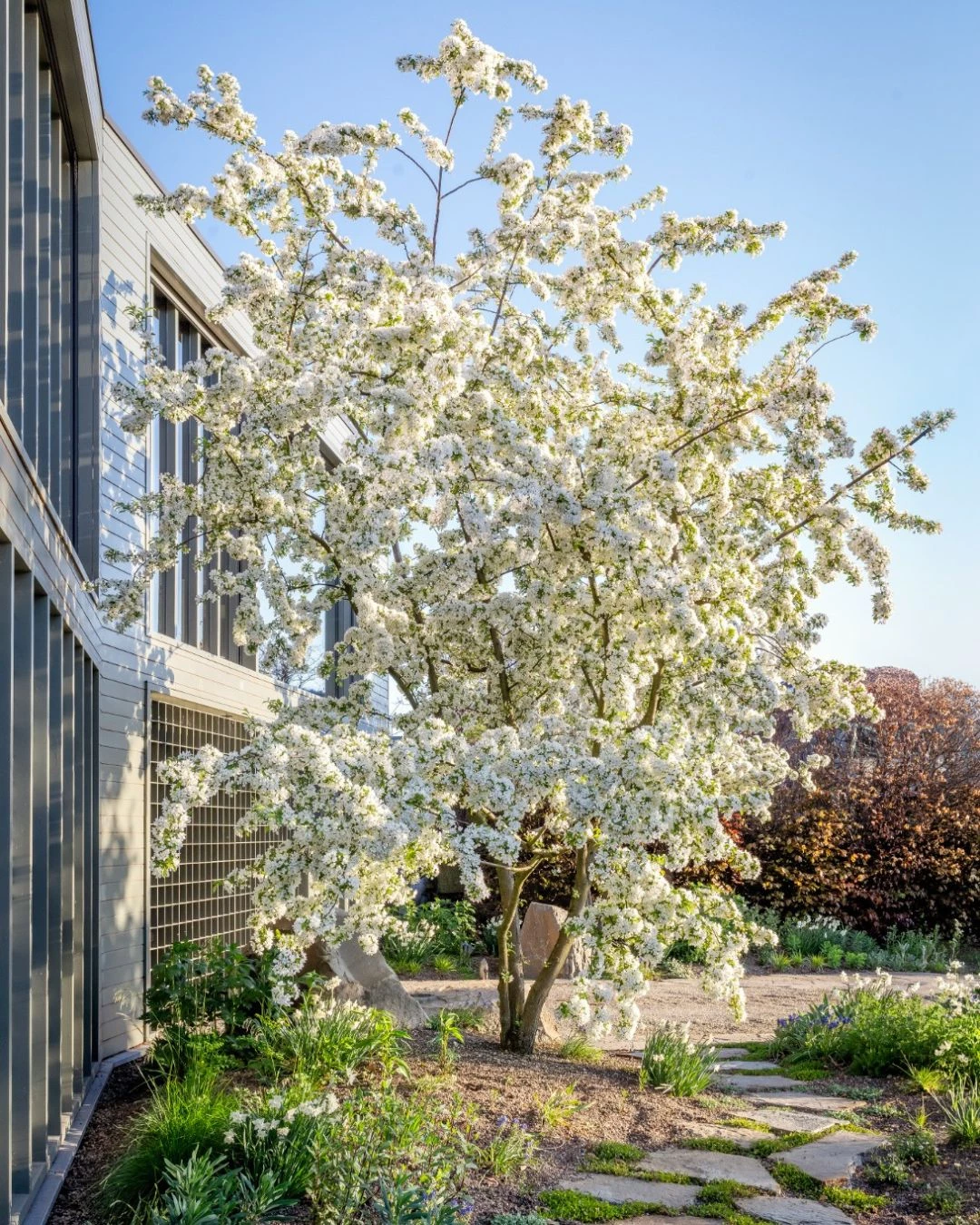 Testtuin aan ons kantoor