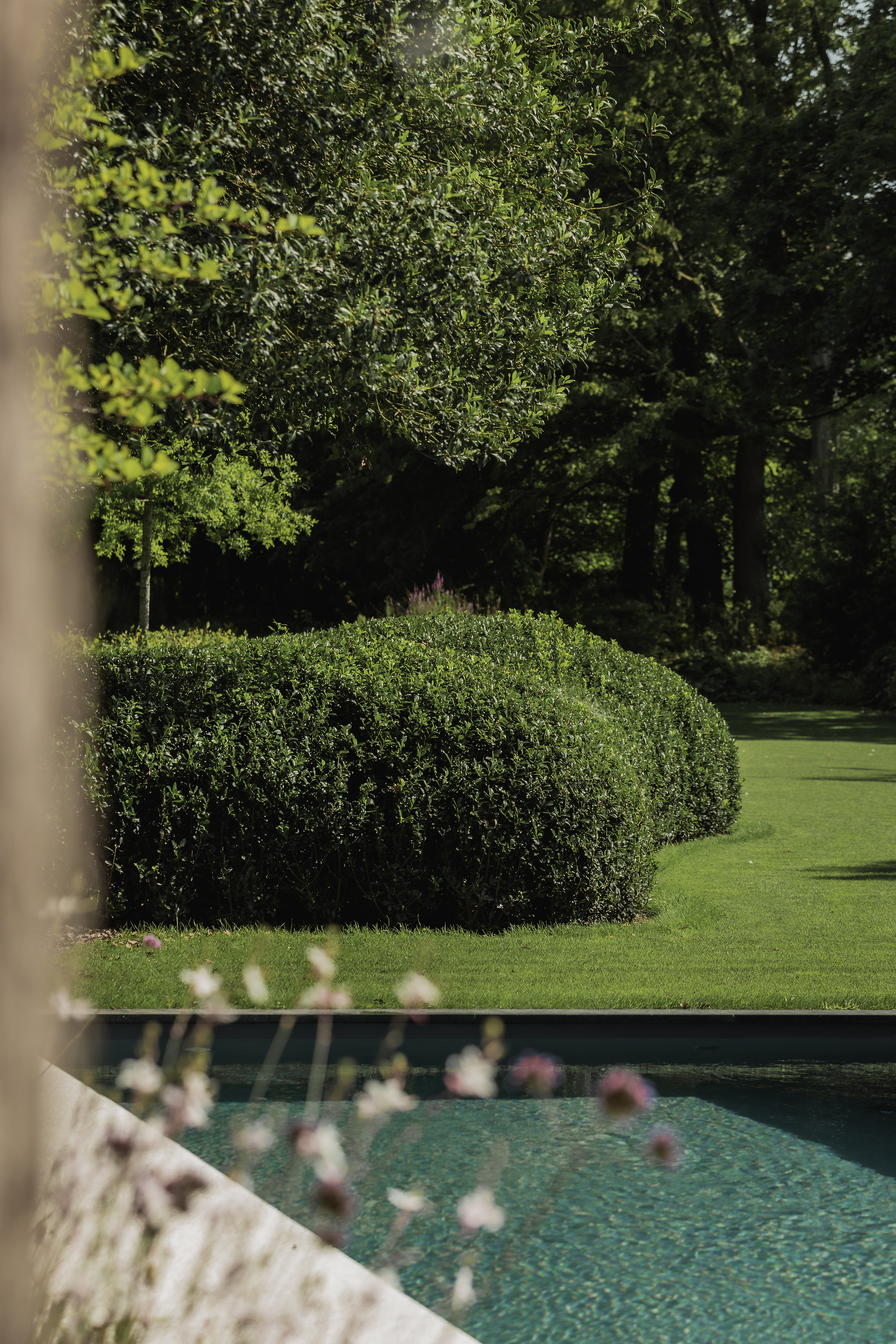 Parktuin MS