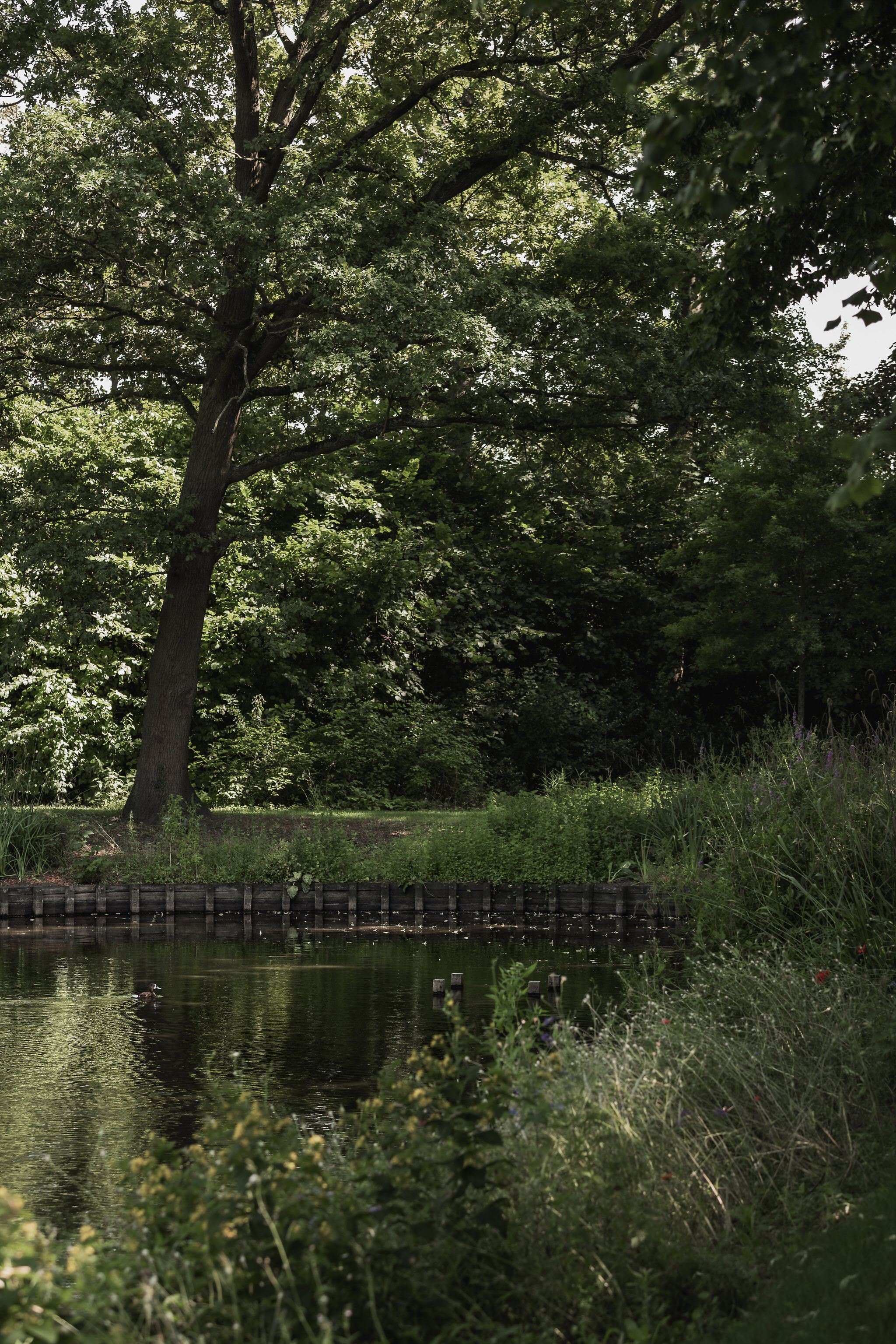Parktuin MS